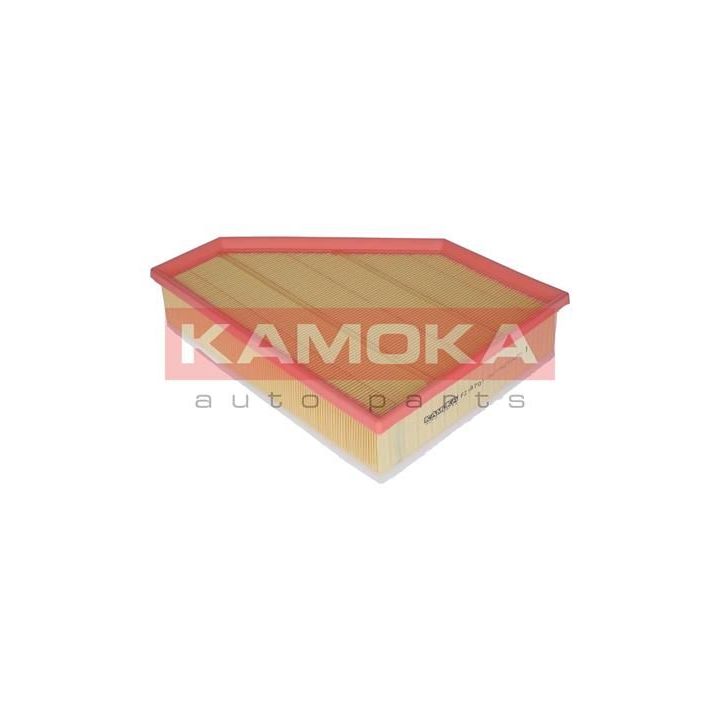 Oro filtras KAMOKA F219701