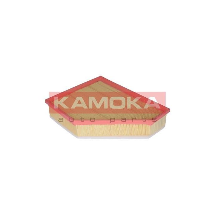 Oro filtras KAMOKA F219701