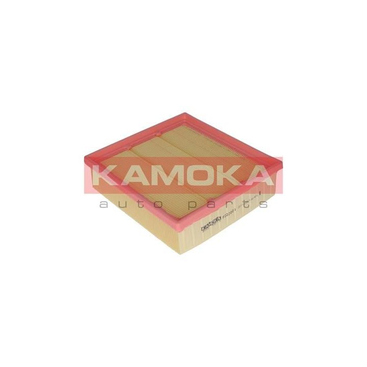 Oro filtras KAMOKA F222001