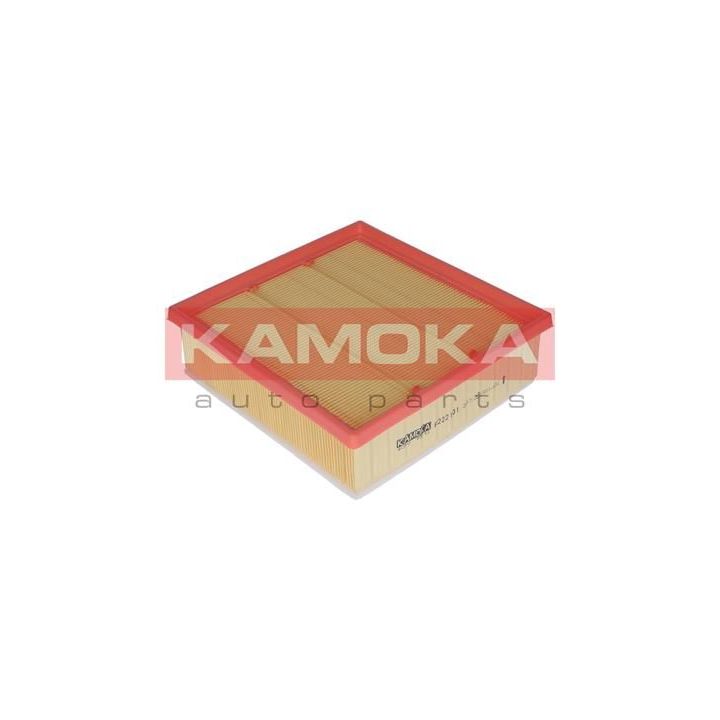 Oro filtras KAMOKA F222101