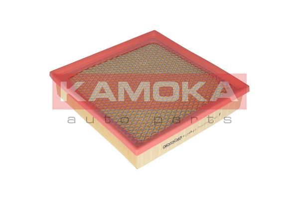 Oro filtras KAMOKA F224801