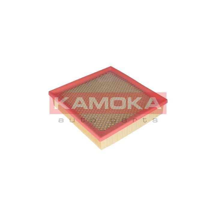 Oro filtras KAMOKA F224801