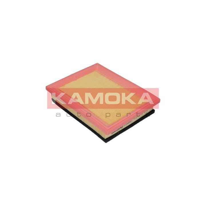 Oro filtras KAMOKA F234801