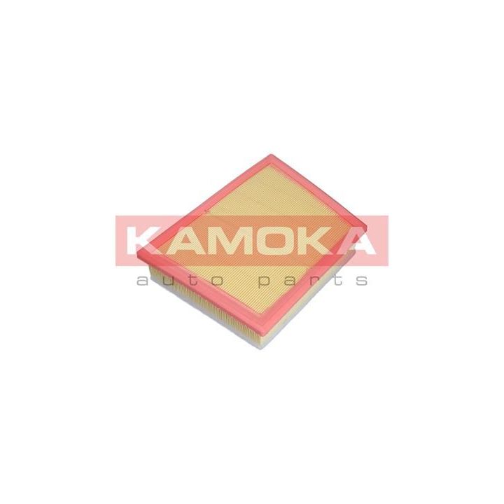 Oro filtras KAMOKA F237901