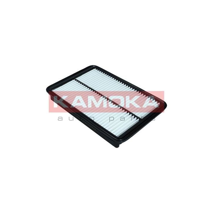 Oro filtras KAMOKA F238801