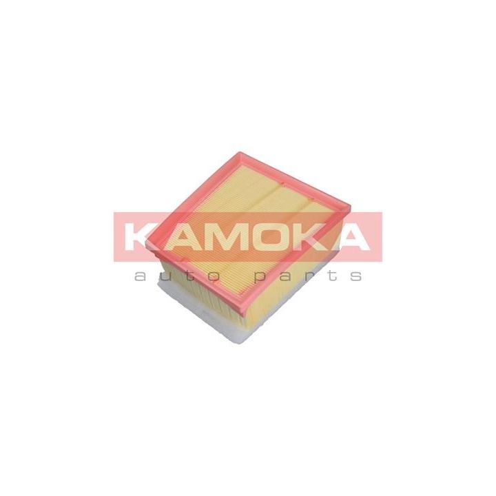 Oro filtras KAMOKA F240001