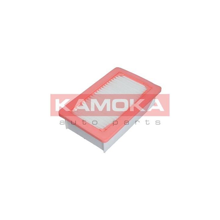Oro filtras KAMOKA F240201