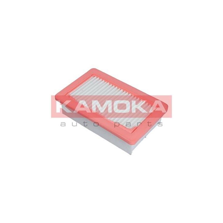 Oro filtras KAMOKA F240201