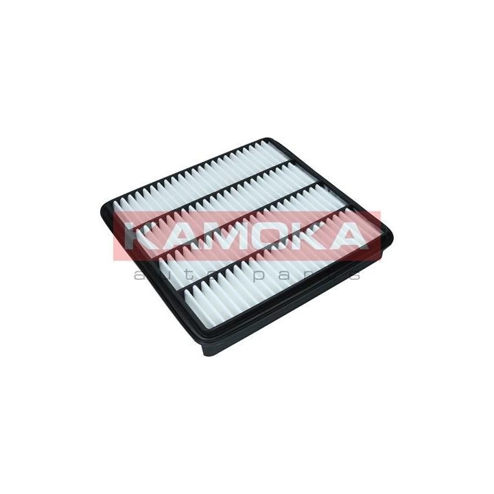 Oro filtras KAMOKA F241101