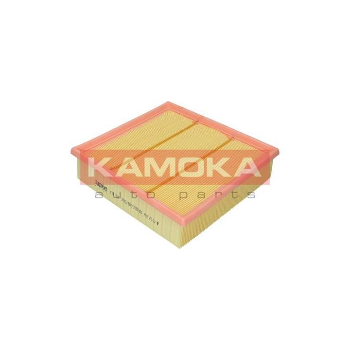 Oro filtras KAMOKA F241701
