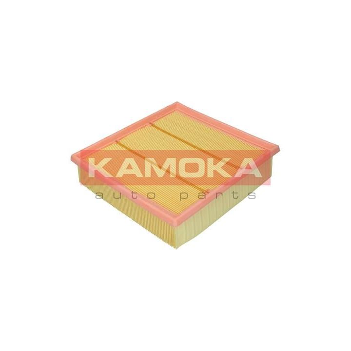 Oro filtras KAMOKA F241701