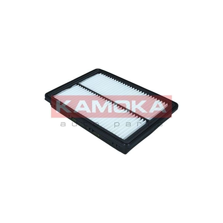 Oro filtras KAMOKA F242401