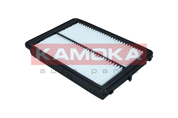 Oro filtras KAMOKA F242401