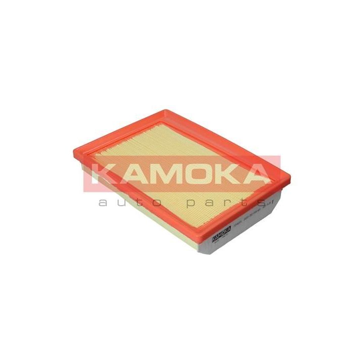 Oro filtras KAMOKA F244201
