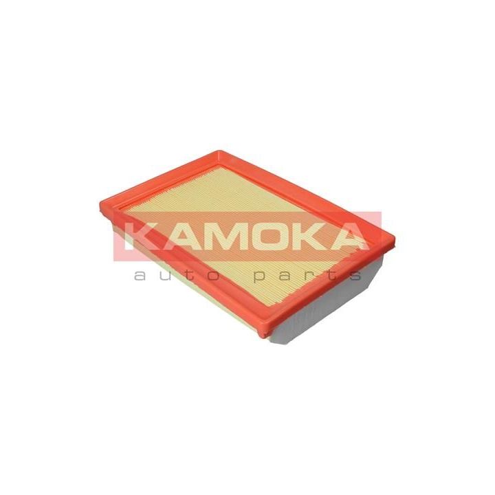 Oro filtras KAMOKA F244201