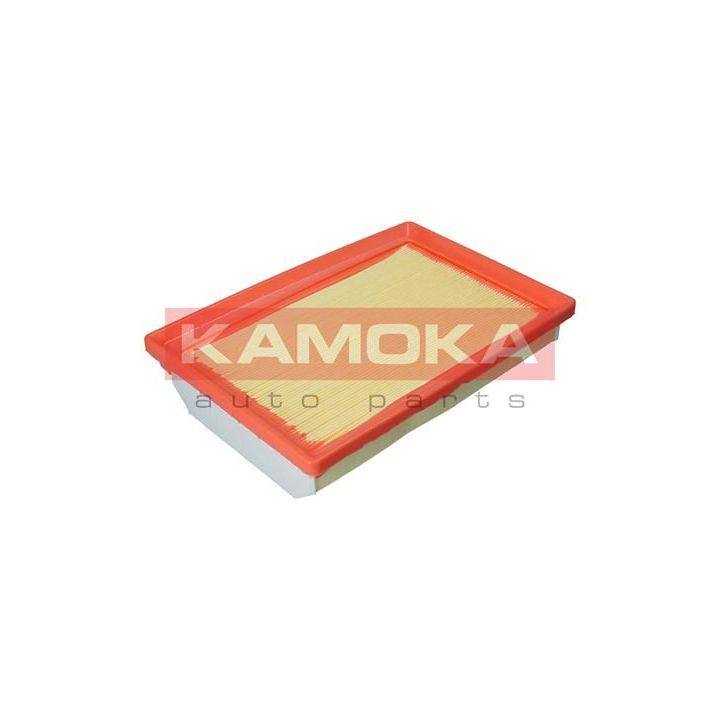 Oro filtras KAMOKA F244201