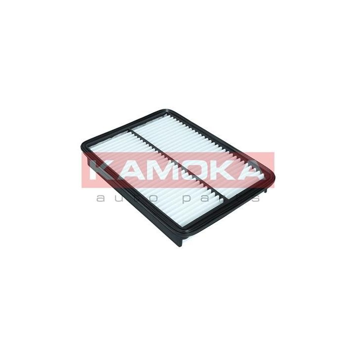 Oro filtras KAMOKA F245501