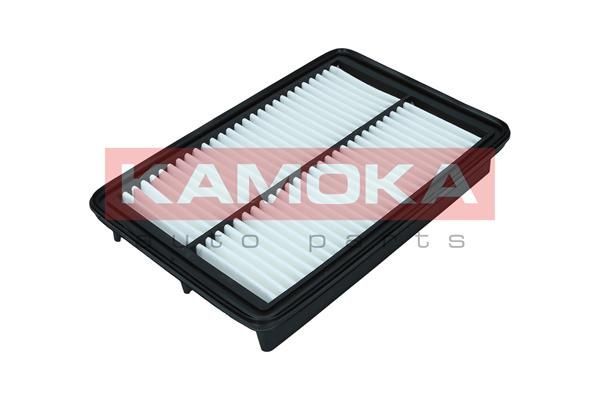 Oro filtras KAMOKA F246301