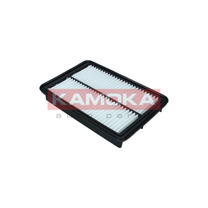 Oro filtras KAMOKA F246301