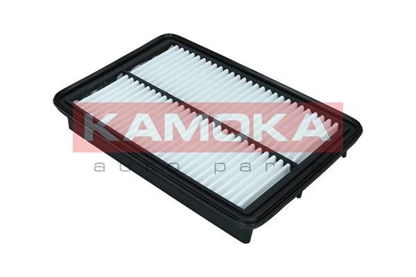 Oro filtras KAMOKA F246301