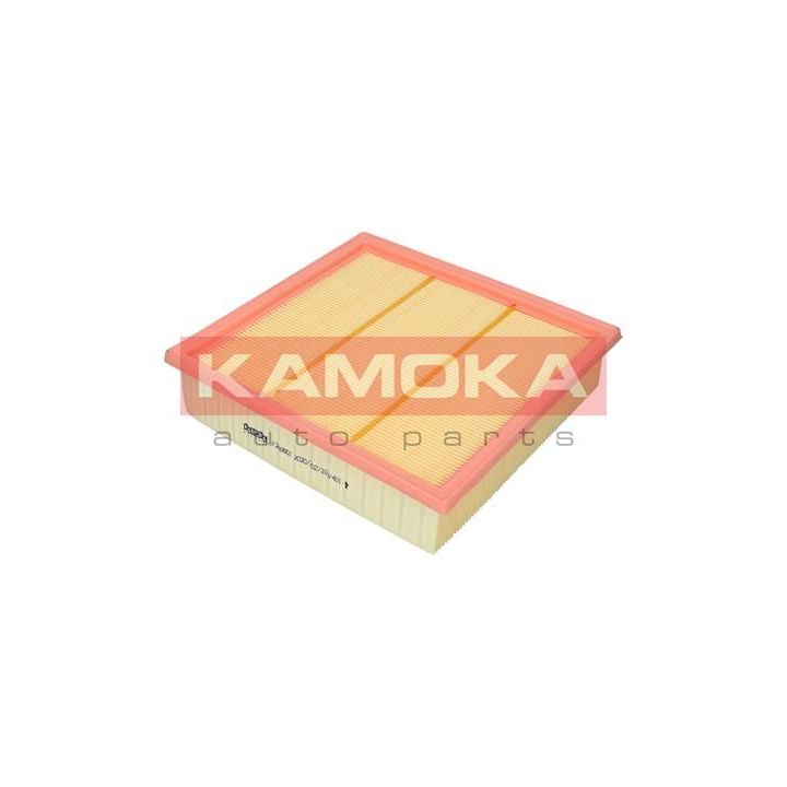 Oro filtras KAMOKA F246601