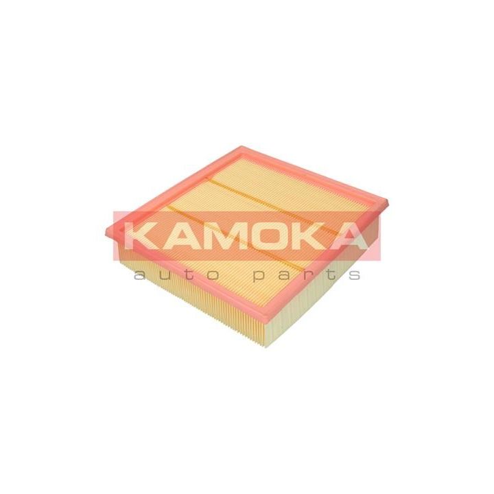 Oro filtras KAMOKA F246601