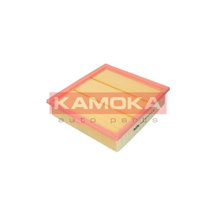 Oro filtras KAMOKA F246601
