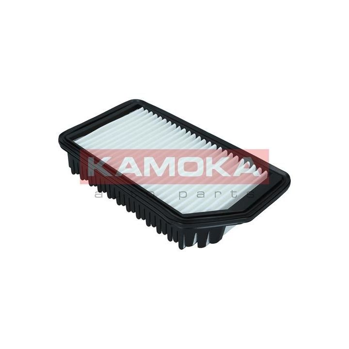 Oro filtras KAMOKA F246901