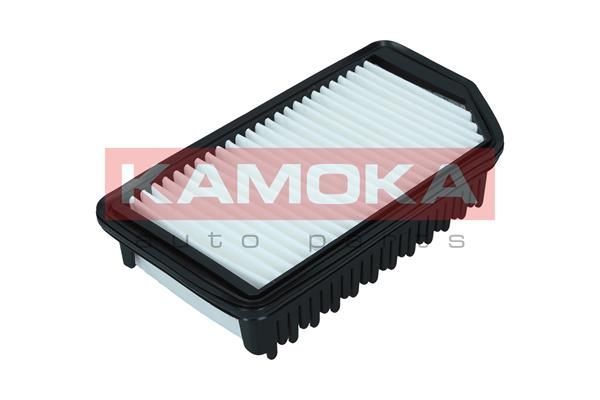 Oro filtras KAMOKA F246901