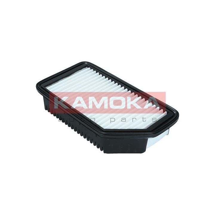 Oro filtras KAMOKA F247001