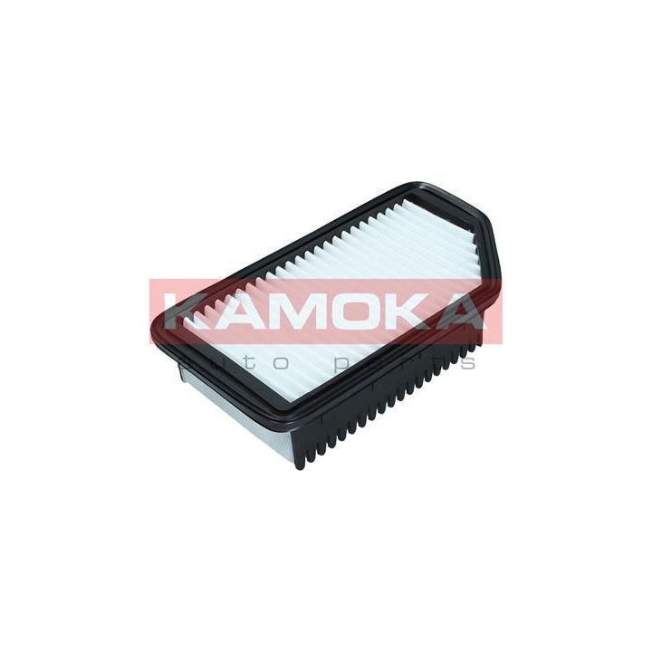 Oro filtras KAMOKA F247001