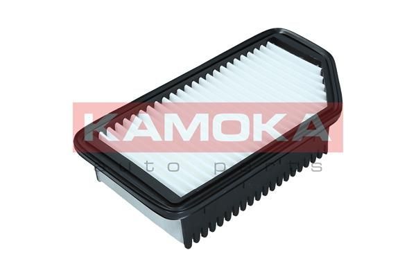 Oro filtras KAMOKA F247001