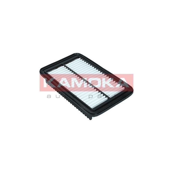 Oro filtras KAMOKA F247101