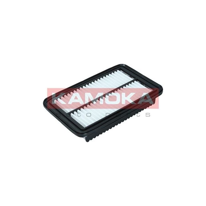 Oro filtras KAMOKA F247101
