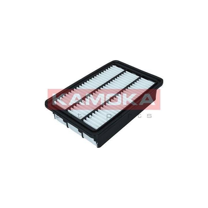 Oro filtras KAMOKA F247201