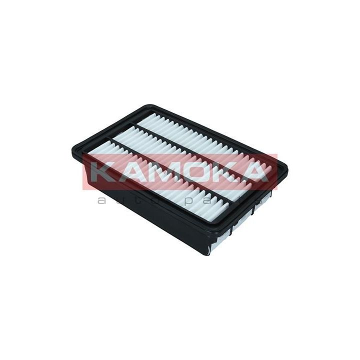 Oro filtras KAMOKA F247201