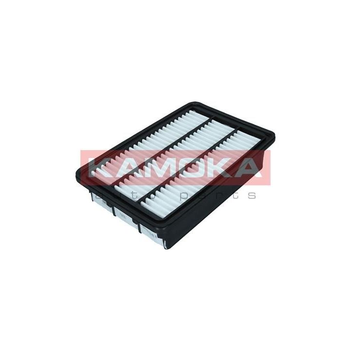 Oro filtras KAMOKA F247201