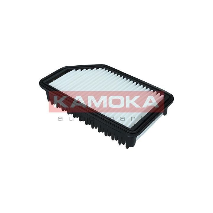 Oro filtras KAMOKA F247301