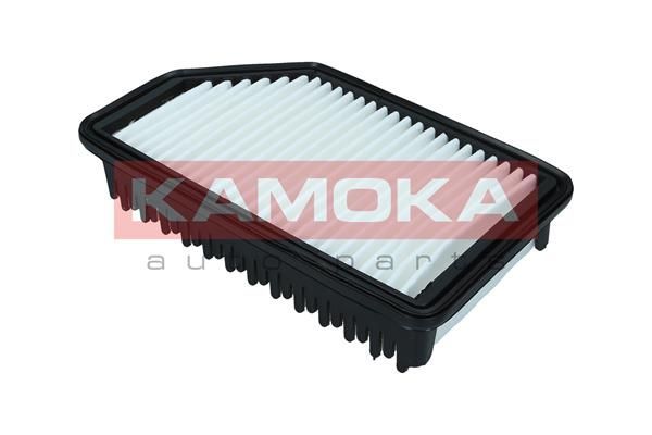 Oro filtras KAMOKA F247301