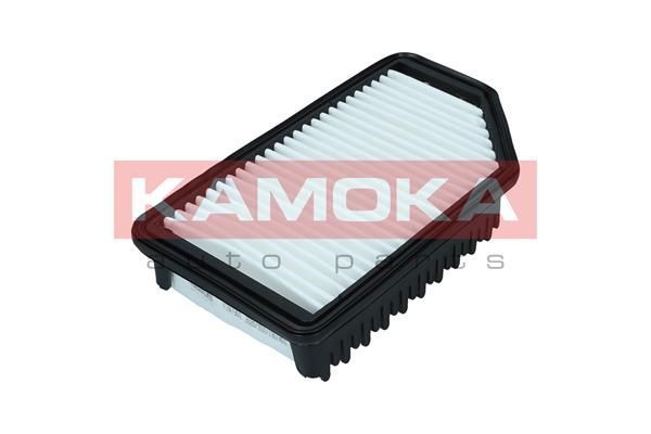 Oro filtras KAMOKA F247301