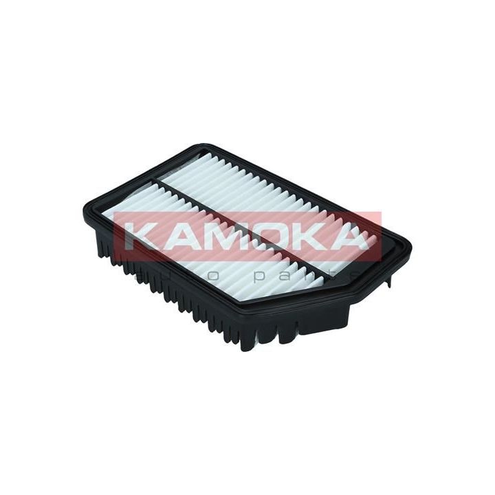 Oro filtras KAMOKA F247401