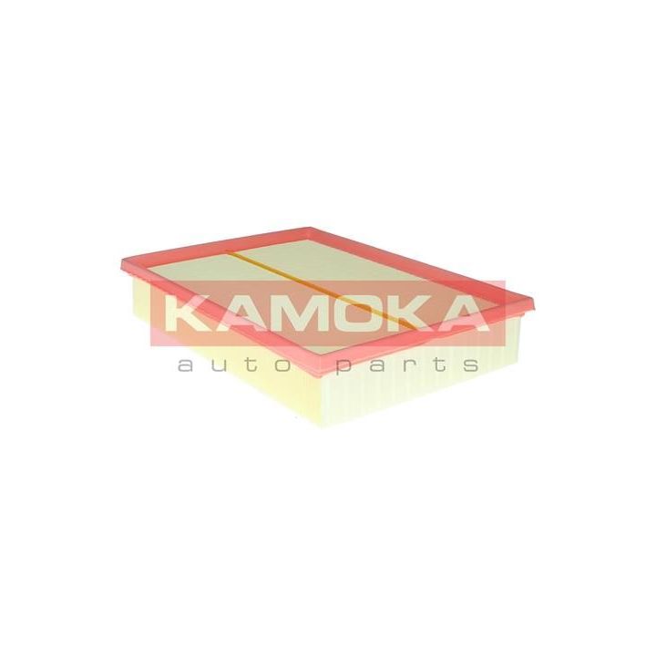 Oro filtras KAMOKA F247701
