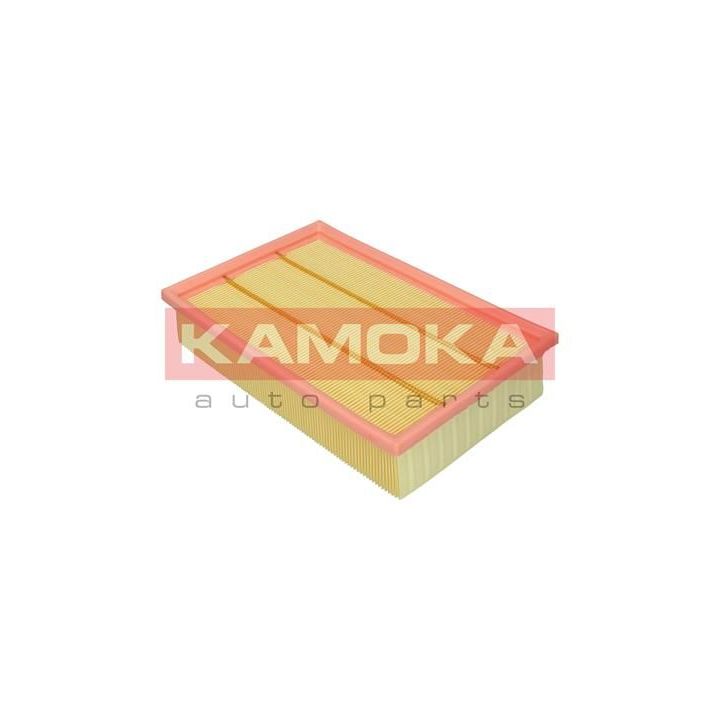 Oro filtras KAMOKA F247801