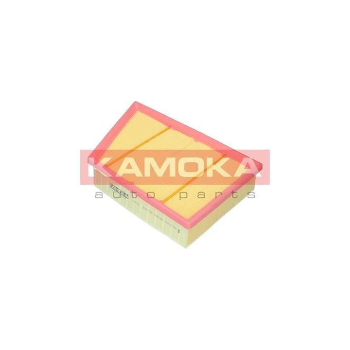 Oro filtras KAMOKA F247901
