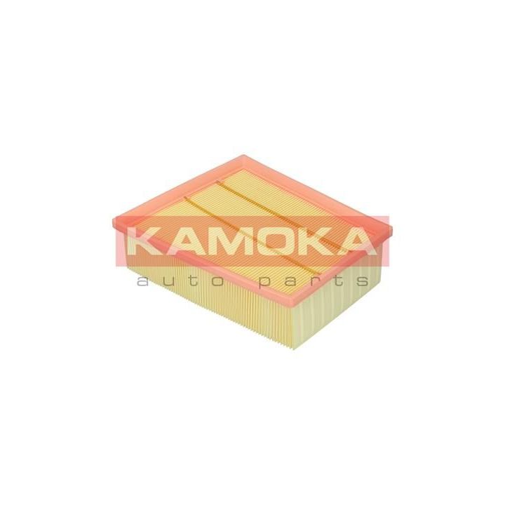 Oro filtras KAMOKA F248201