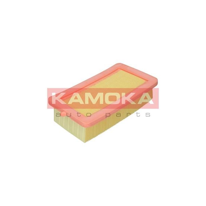 Oro filtras KAMOKA F249201
