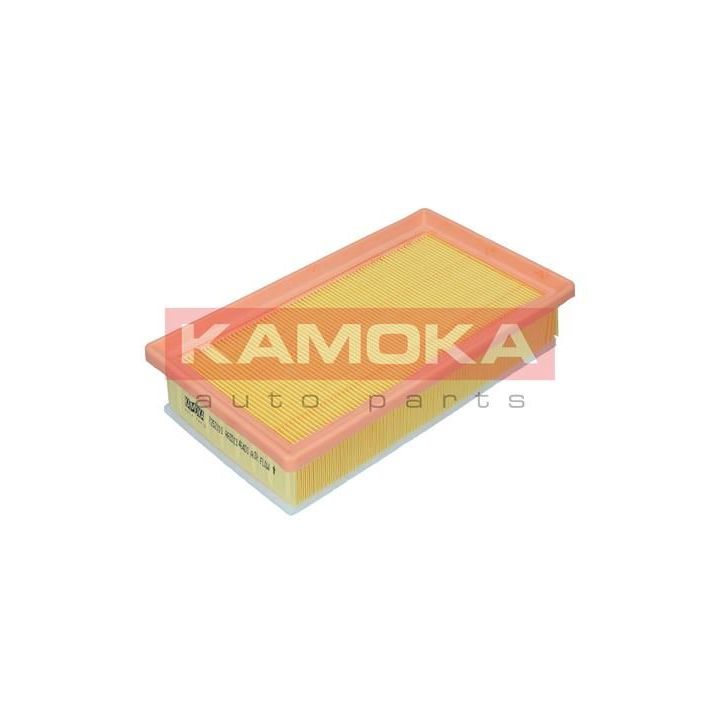 Oro filtras KAMOKA F252101