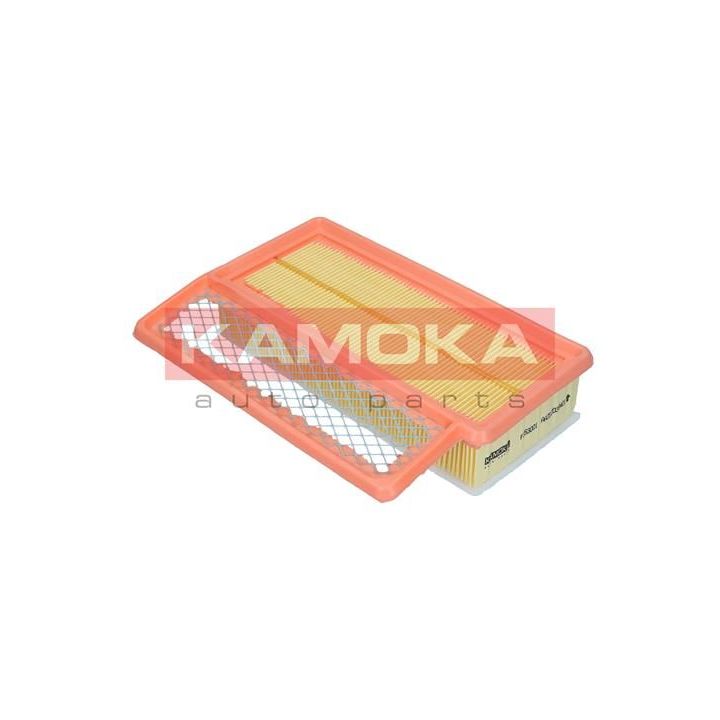 Oro filtras KAMOKA F253001