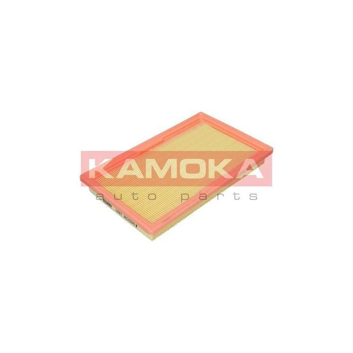 Oro filtras KAMOKA F253601
