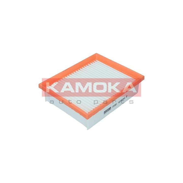 Oro filtras KAMOKA F253801